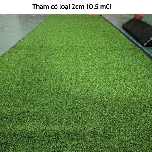 ( 1mét x 1mét) Tấm cỏ nhân tạo giá rẻ  (11 loại cỏ, quý khách đọc kỹ mô tả)