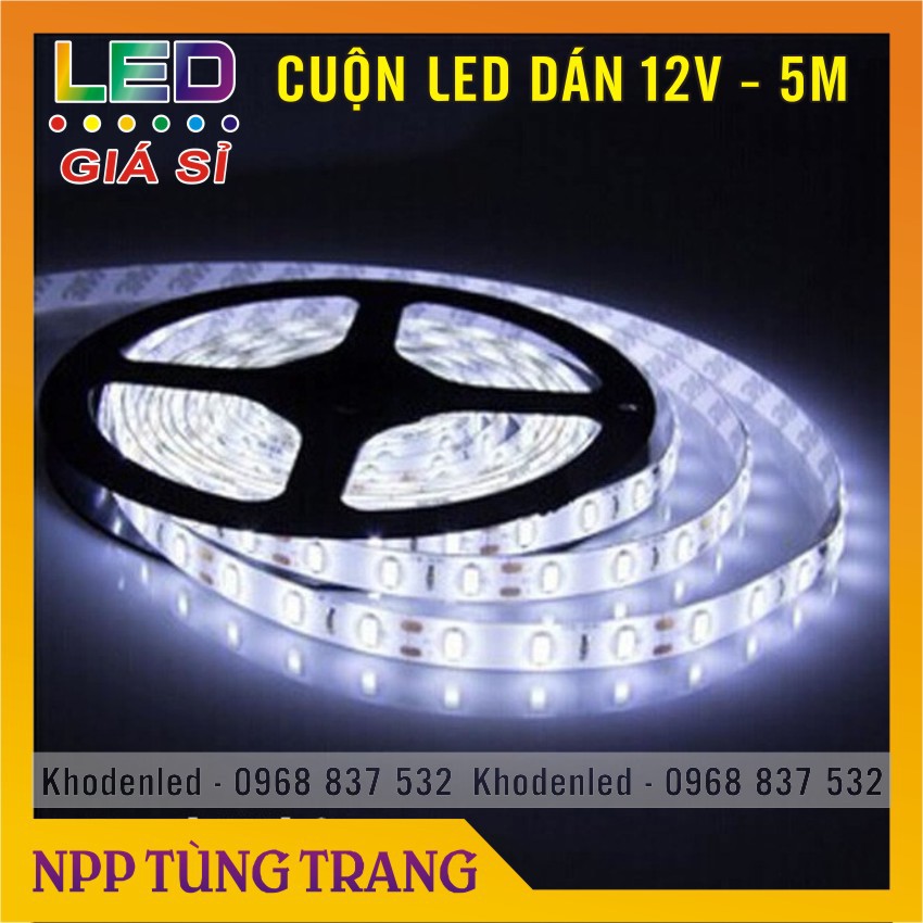 Cuộn Led dây dán 5050 12v dài 5m