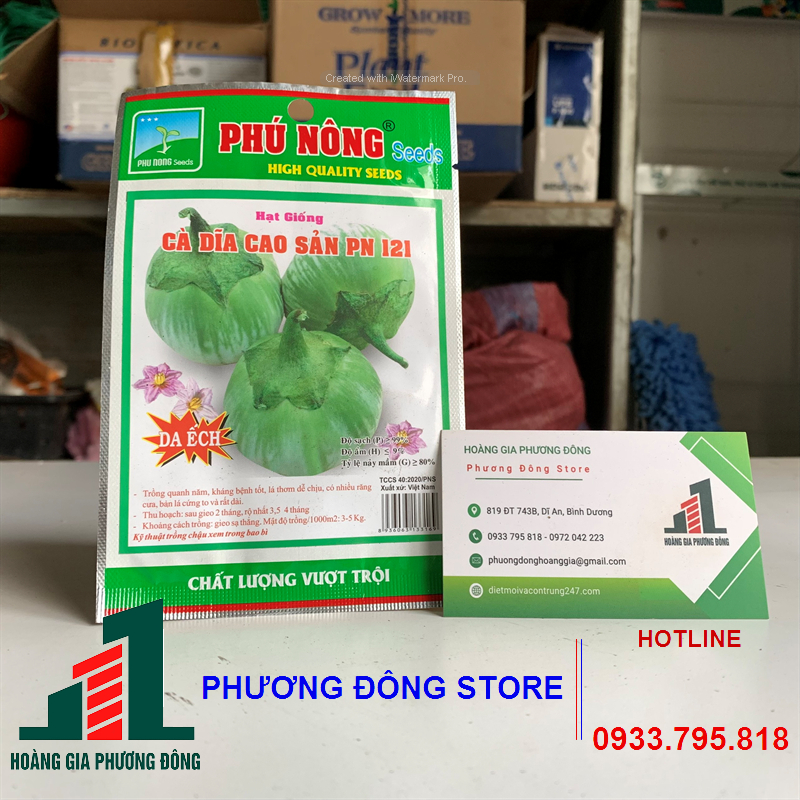 Hạt giống cà dĩa da ếch gói 500mg