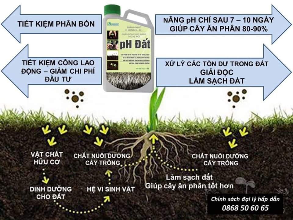 Soil Improvement, Transform Compacted Soil into Fertile Soil - Soil Ph 1 Can 400 Liters of Water