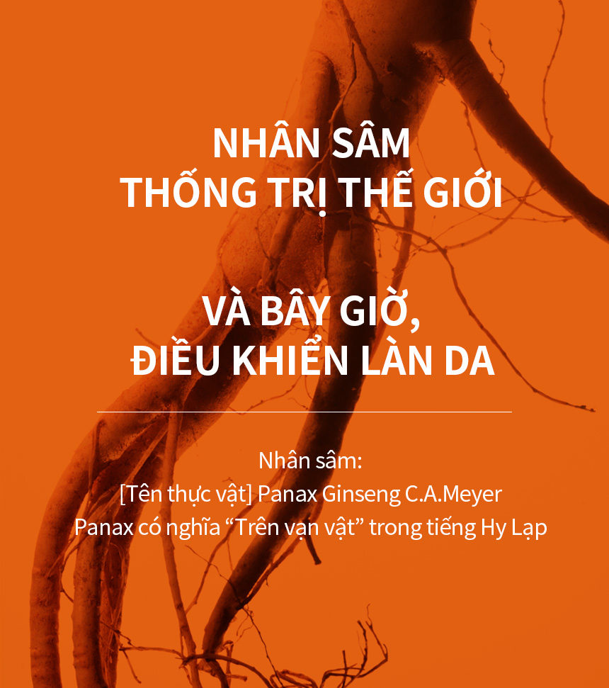 Serum nhân sâm Sulwhasoo gói 1ml