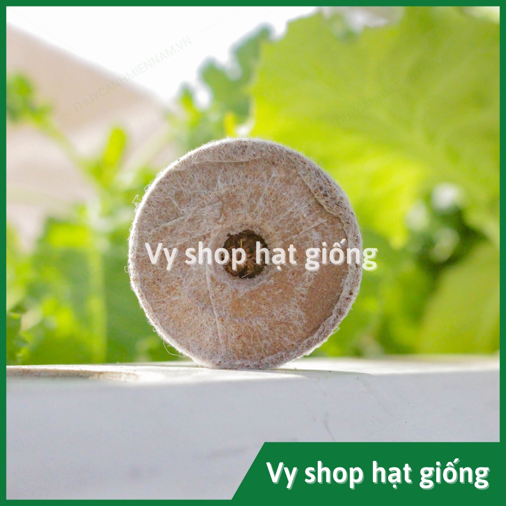 1 Viên nén xơ dừa ươm hạt giống
