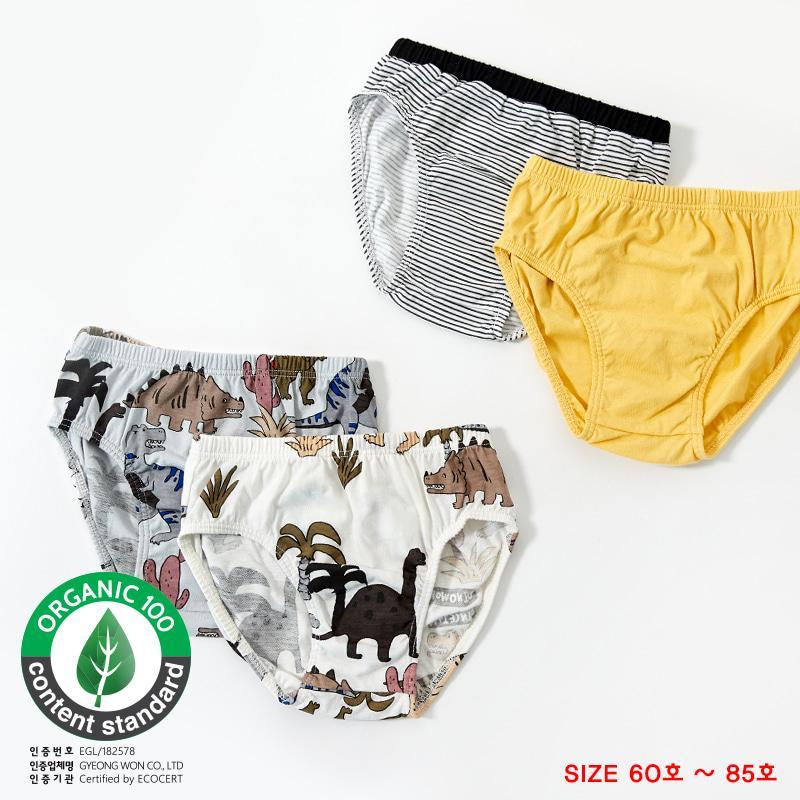 Nơi bán Set quần chip cho bé gái Unifriend Hàn Quốc UNI0613