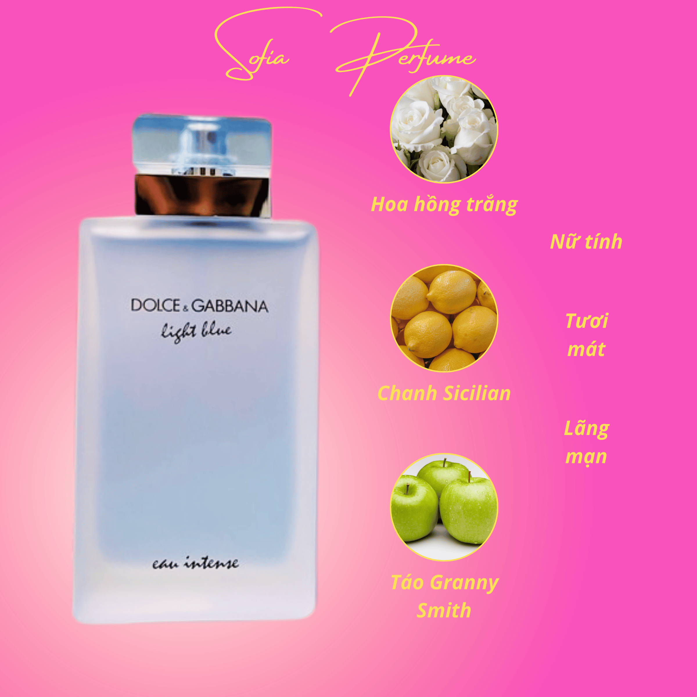 Mẫu nước hoa DG Light Blue Eau Intense 10ml