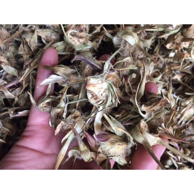 500g trà hoa atiso