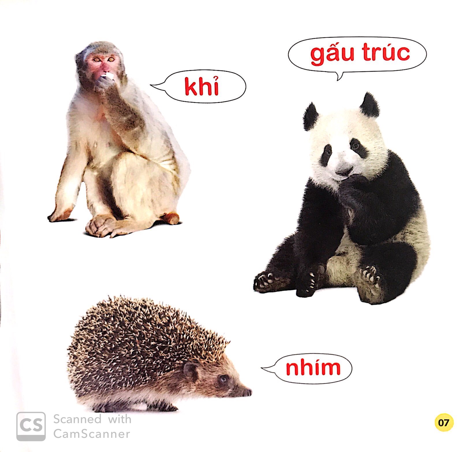 Sách cho bé - 100 Từ Đầu Đời Của Bé: Con Vật (Tái Bản 2019)