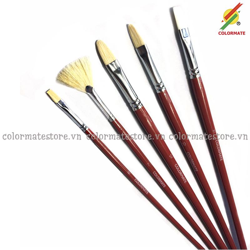 Bộ 5 cây cọ vẽ màu dầu