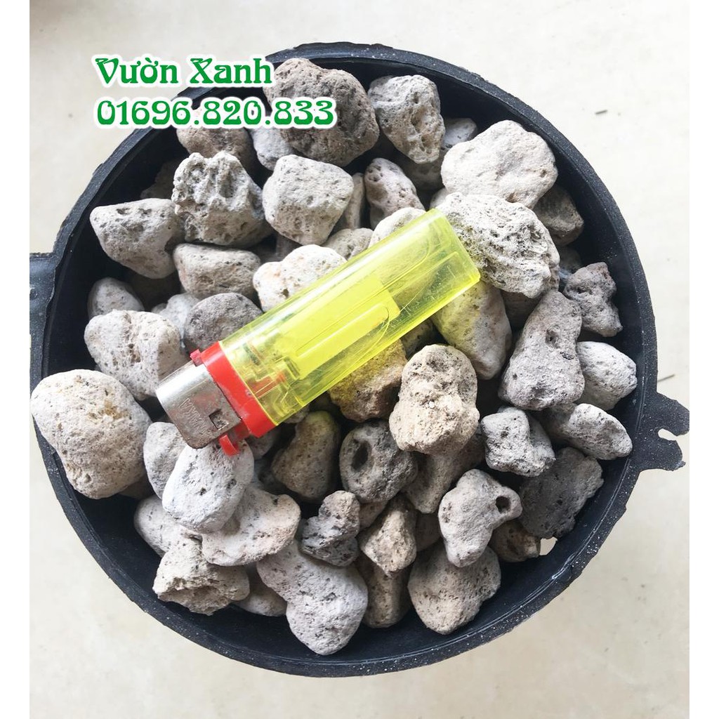 (500gr) Đá bọt (Đá núi lửa) nhẹ, thoáng, giữ ẩm rất tốt cho lan size 1-2 cm