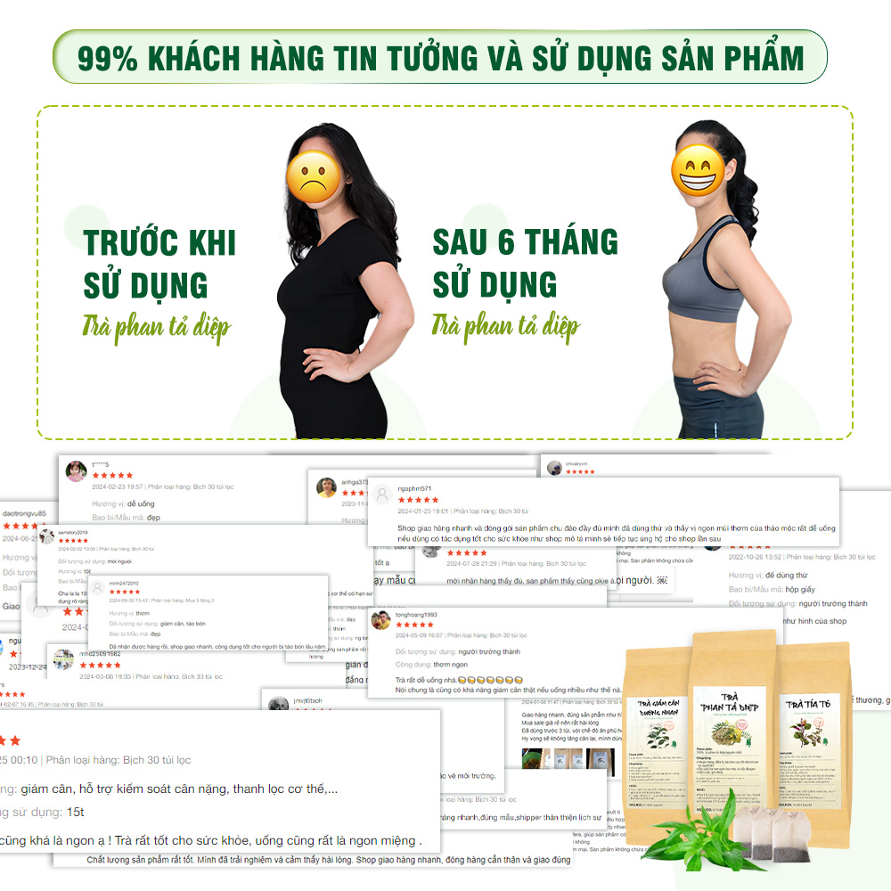 Trà phan tả diệp túi lọc, phan tả diệp bịch 30 túi x 3g, hỗ trợ thanh lọc cơ thể - Chợ Thảo Dược Việt