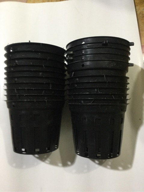 10 CHẬU NHỰA TRỒNG LAN PHI 16