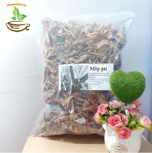 Móp gai 1kg (ráy gai rừng)