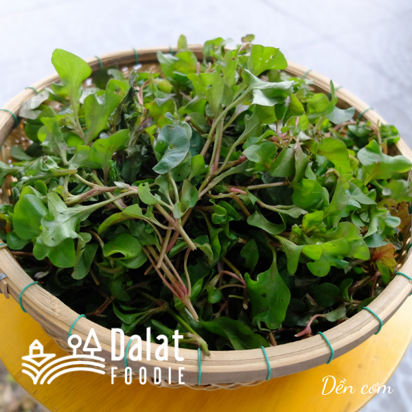 Rau Dền 250G - [Giao hàng ngay tại TPHCM]