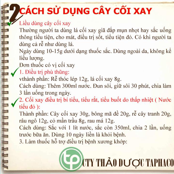 Cây cối xay khô 500g - Dược Tấn Phát