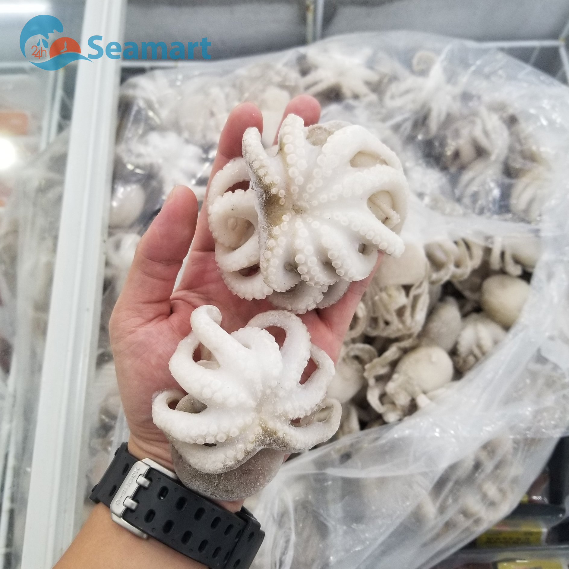 [Chỉ Giao HCM] Bạch Tuộc Seamart - 1KG