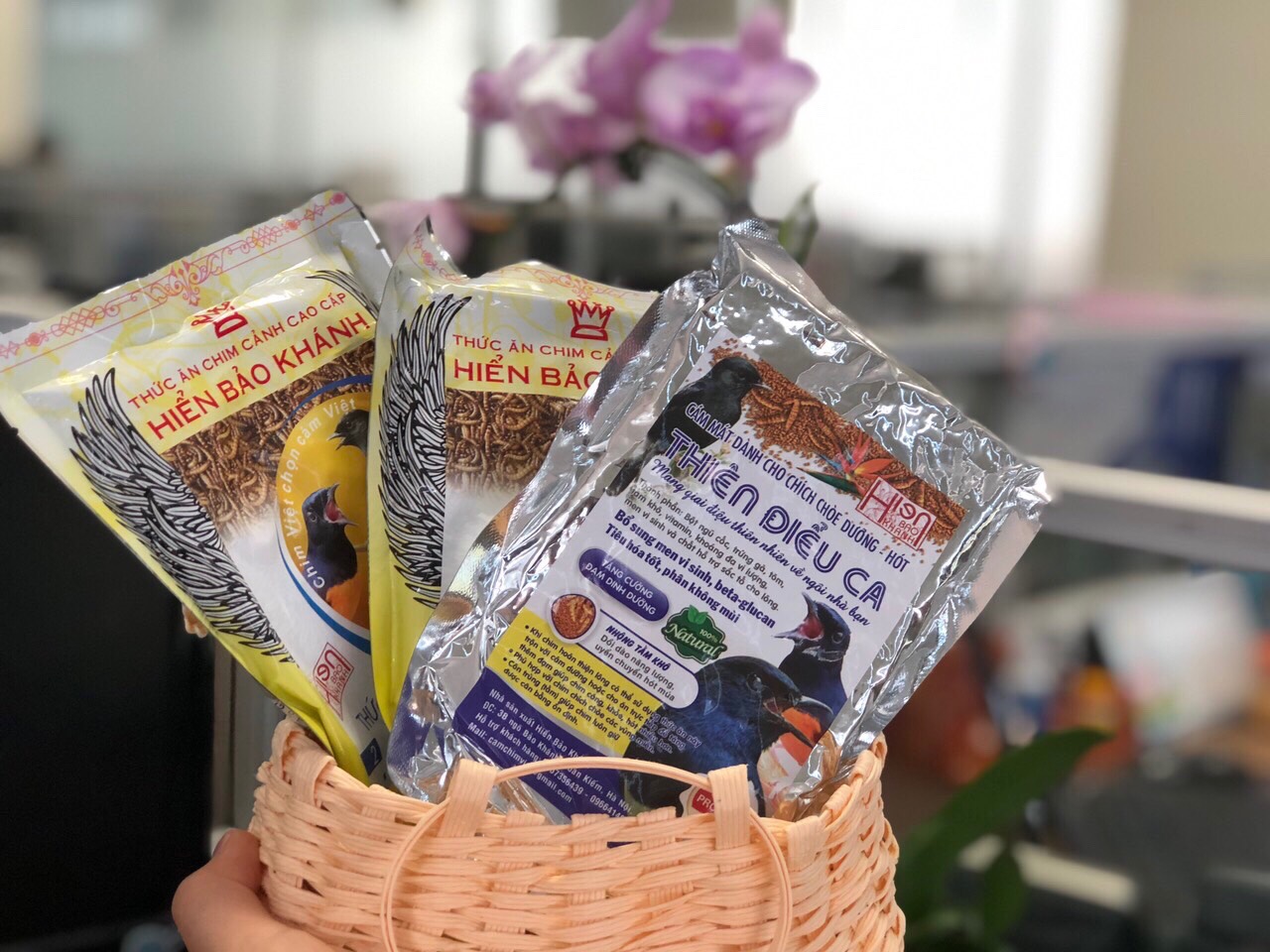 Cám chim Chích Chòe số 1 Hiển Bảo Khánh