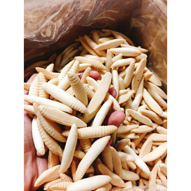 BÁNH ĐUÔNG DỪA THƠM NGON [500G]