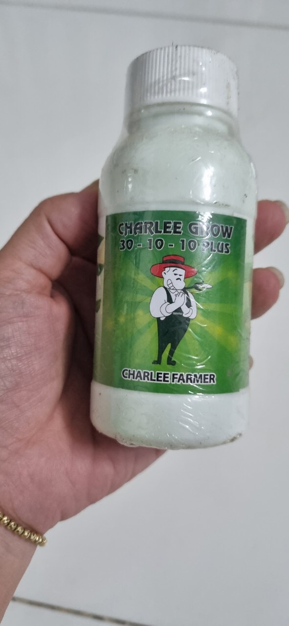 COMBO PHÂN LÁ MÍT