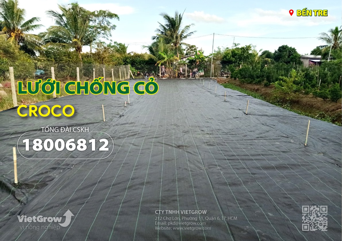 LƯỚI CHỐNG CỎ / BẠT CHỐNG CỎ /BẠT DIỆT CỎ THƯƠNG HIỆU CROCO