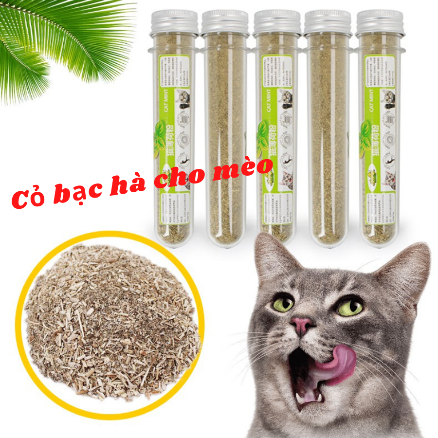 Cỏ bạc hà, cỏ mèo - Catnip ống 10g