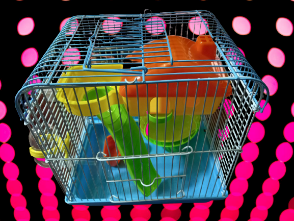 LỒNG NUÔI CHUỘT HAMTER