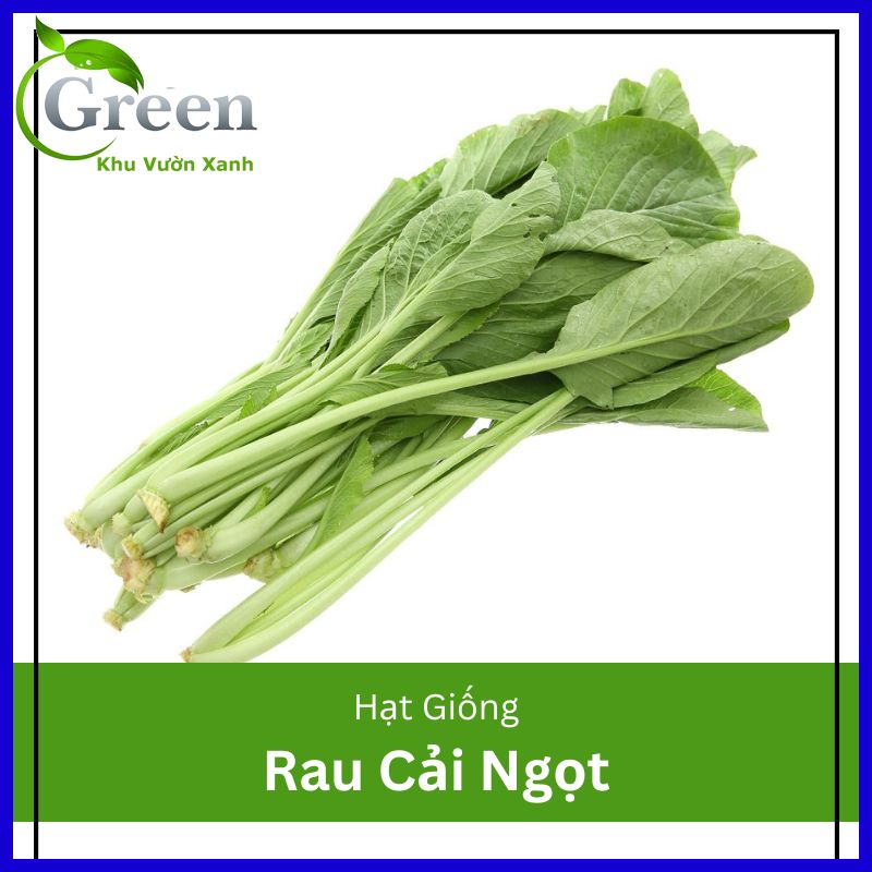 Hạt giống rau cải ngọt - gói 20 gam