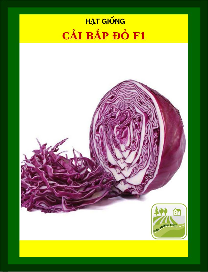 Hạt Giống Cải Bắp Đỏ - 1Gram