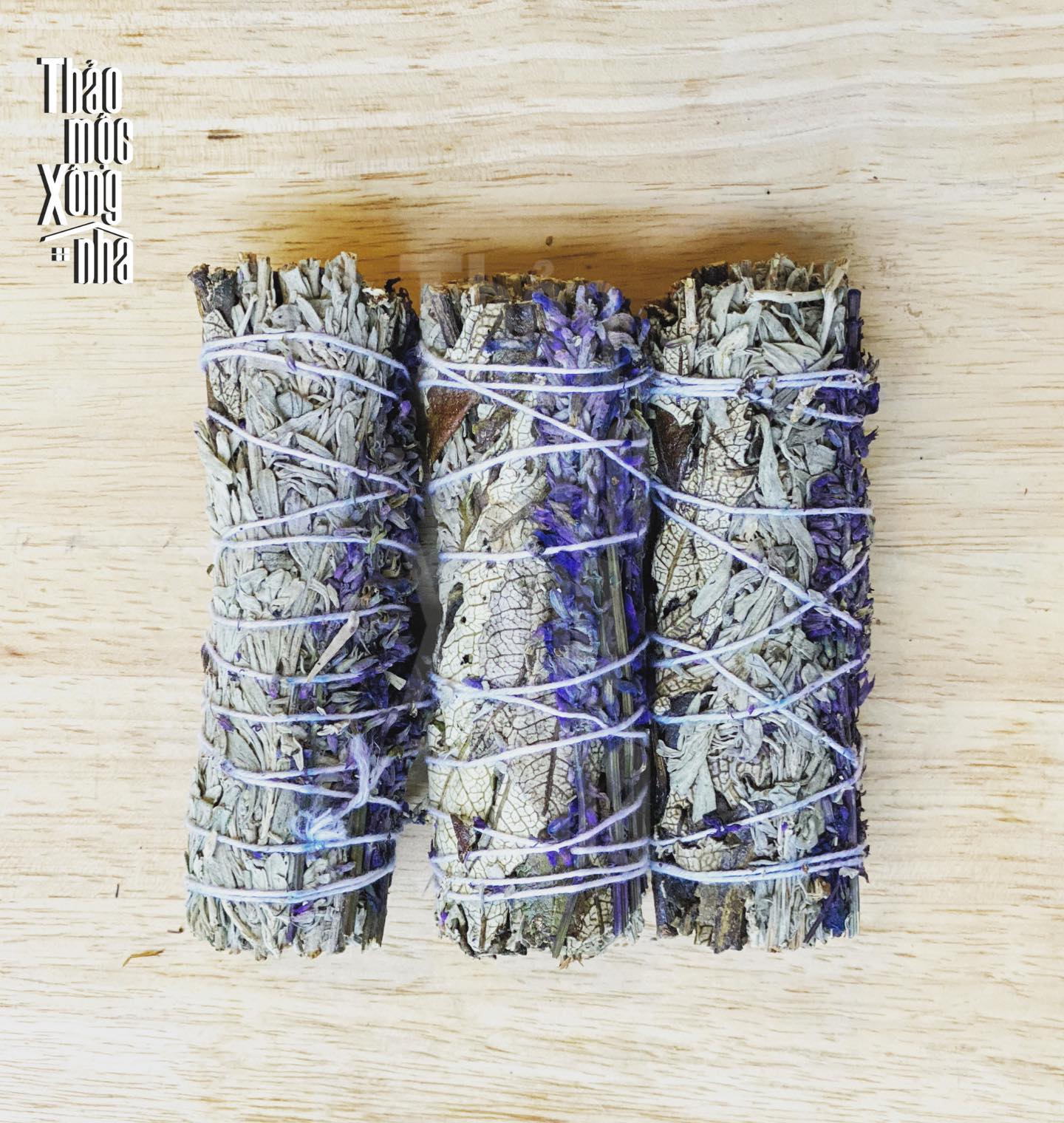 Xô tím - Lavender Sage - Thảo Mộc Xông Nhà