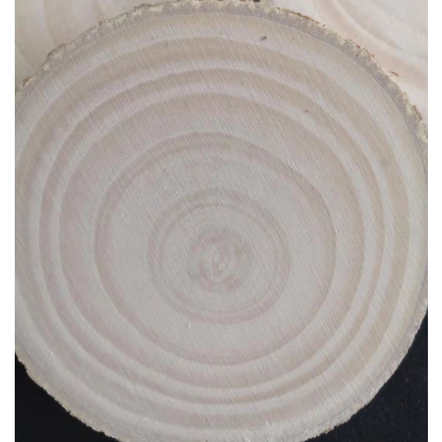 Set 10 miếng gỗ tròn handmade trang trí chụp ảnh
