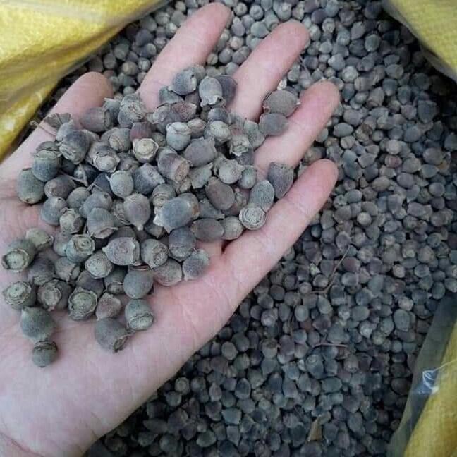 1kg sim khô sỉ giá tốt
