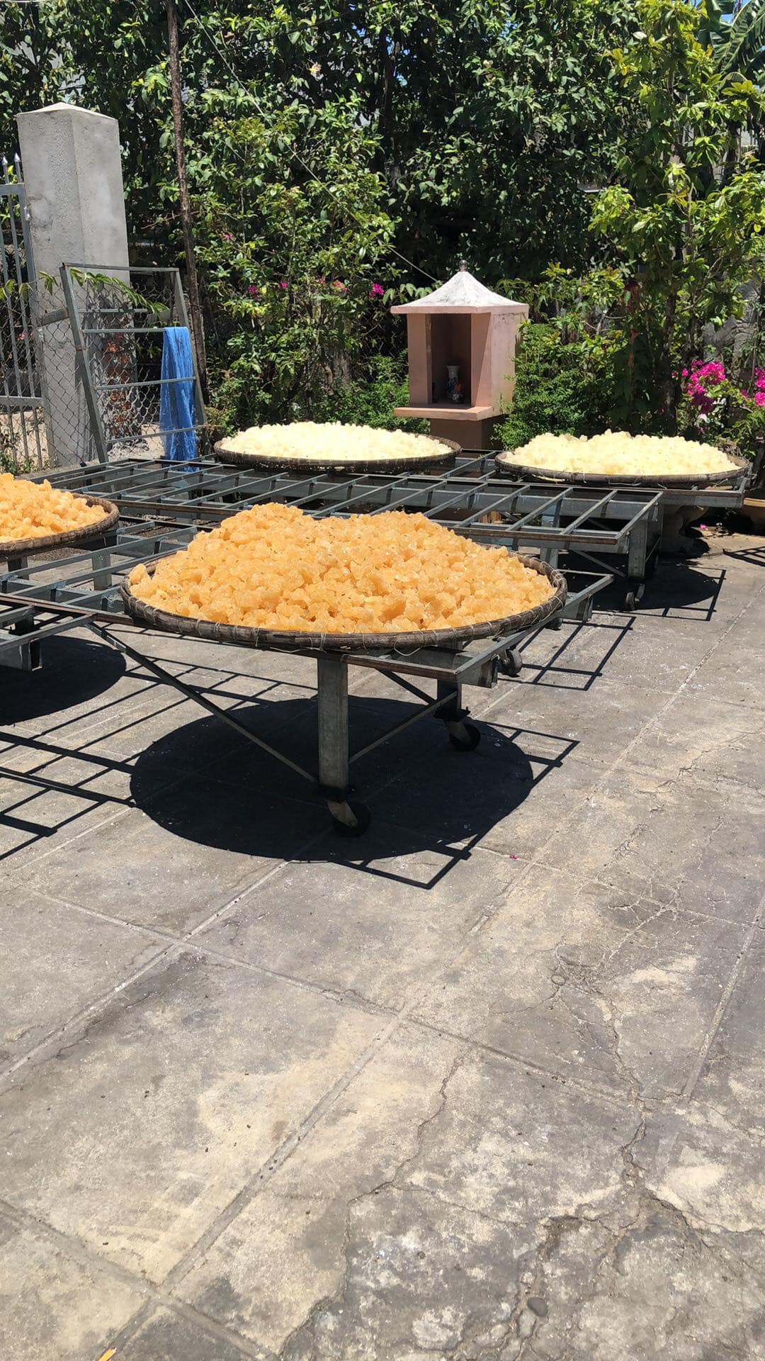 [HCM]Đường phèn vàng nguyên chất 1kg