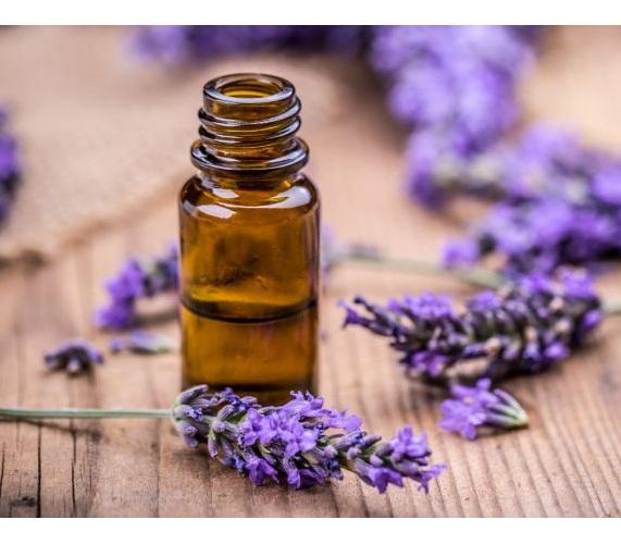 Tinh dầu hoa oải hương Lavender (10ml
