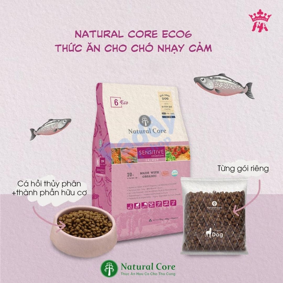Hạt cho chó nhạy cảm hữu cơ natural core eco 6 sensitive cá hồi