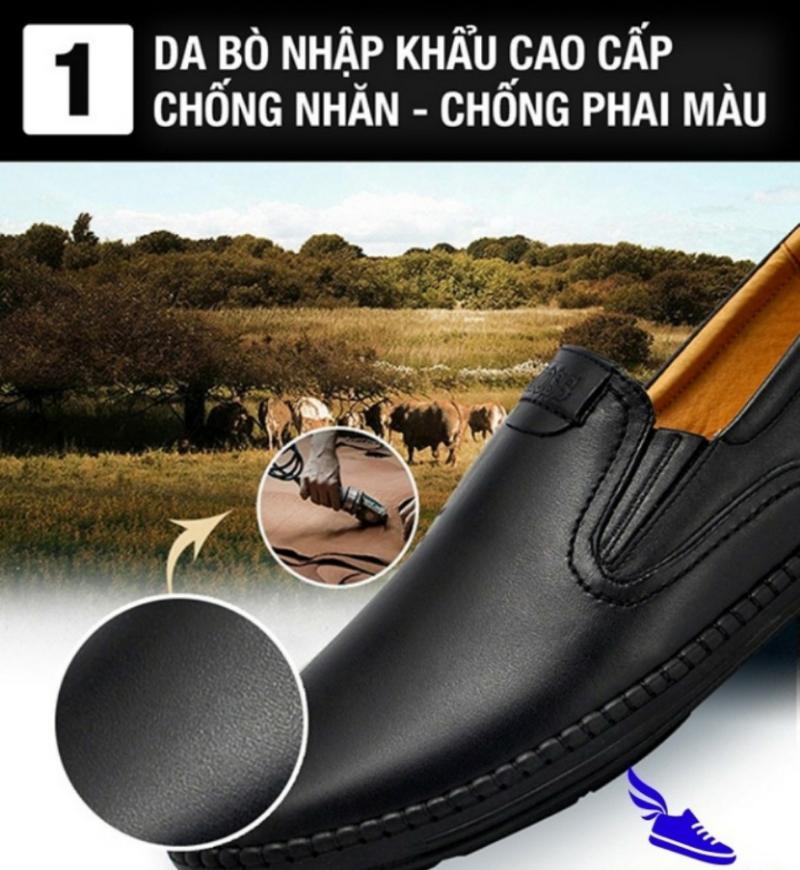 Men's Loafers, Men's Cowhide Shoes (Free Xi)
