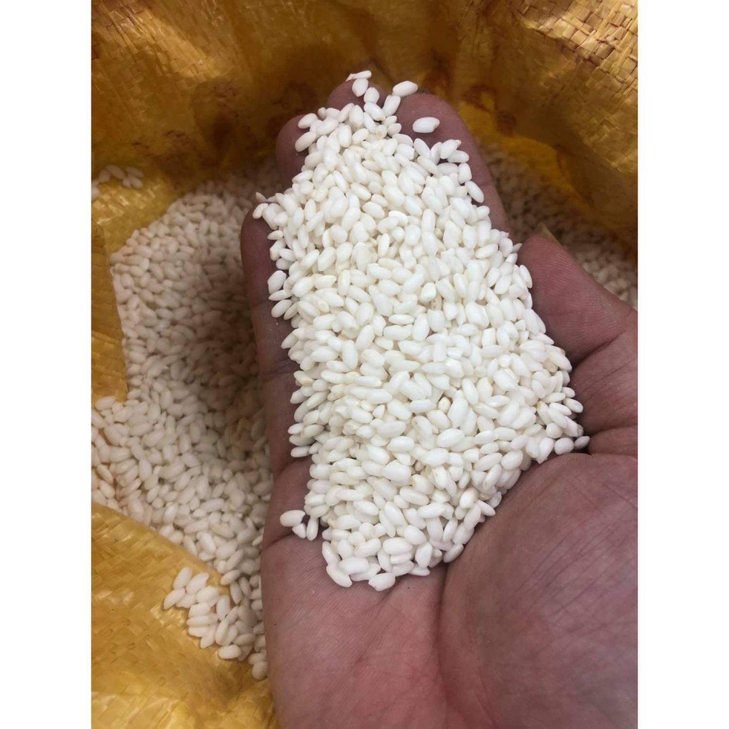 Gạo nếp cái hoa vàng túi 1kg