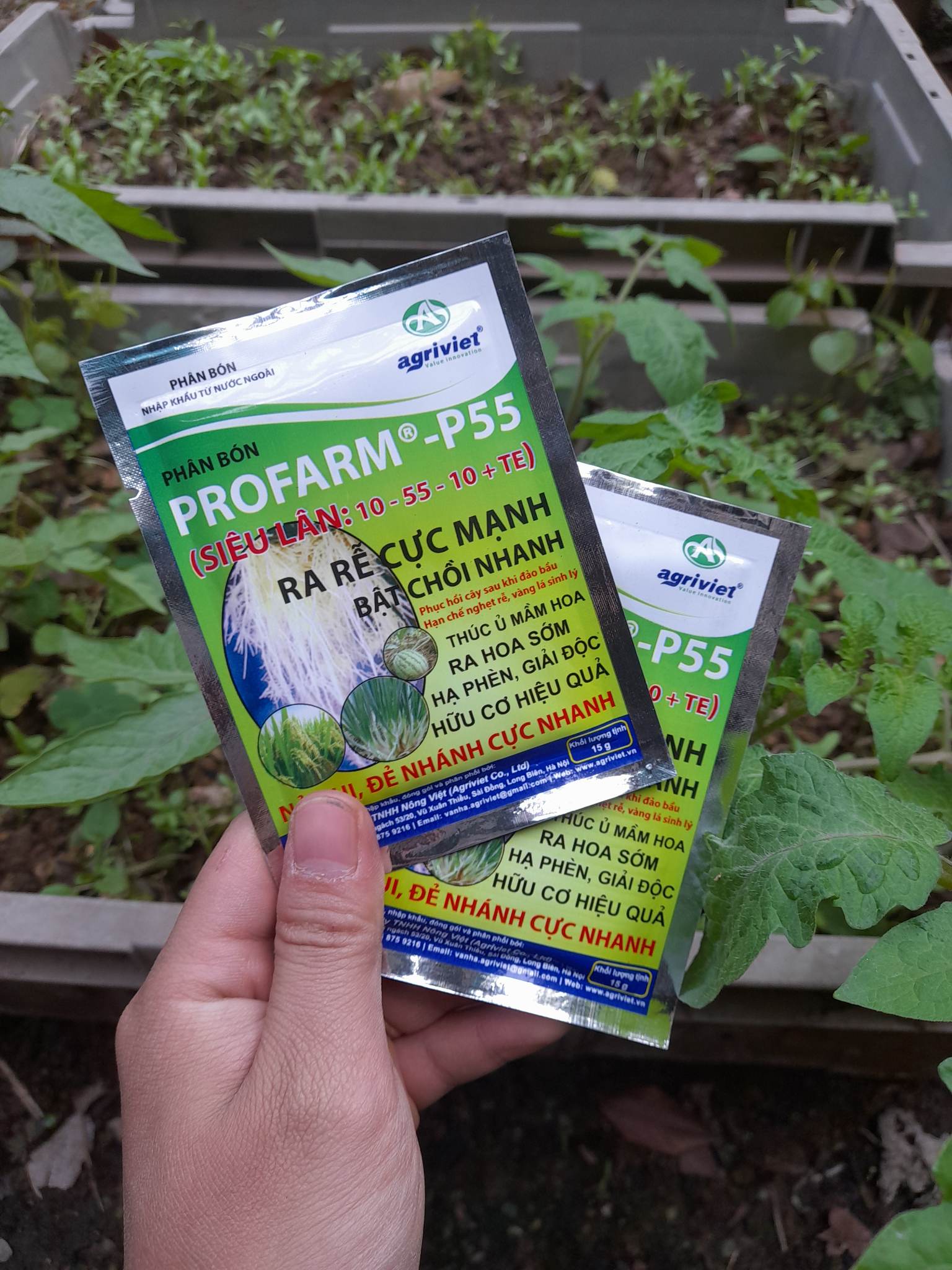 Phân Bón PROFARM kích thích cây tạo rễ