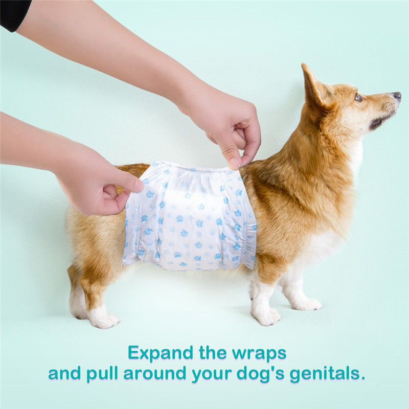 Bỉm vệ sinh cho chó đực Pet Soft 12 chiếc size S (4-8kg)