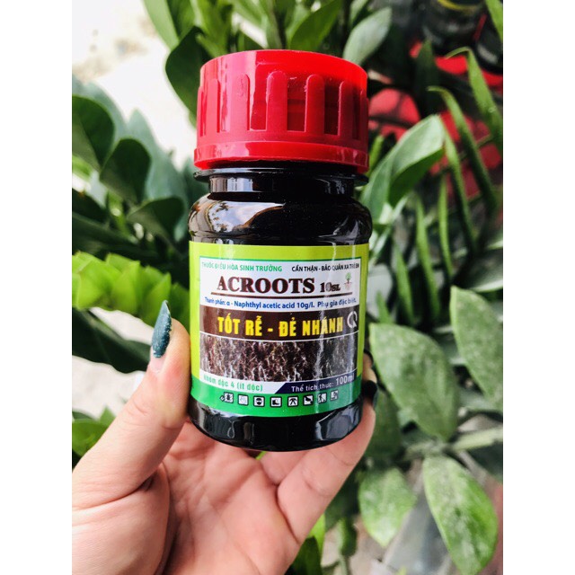 Phân bón kích rễ Acroots