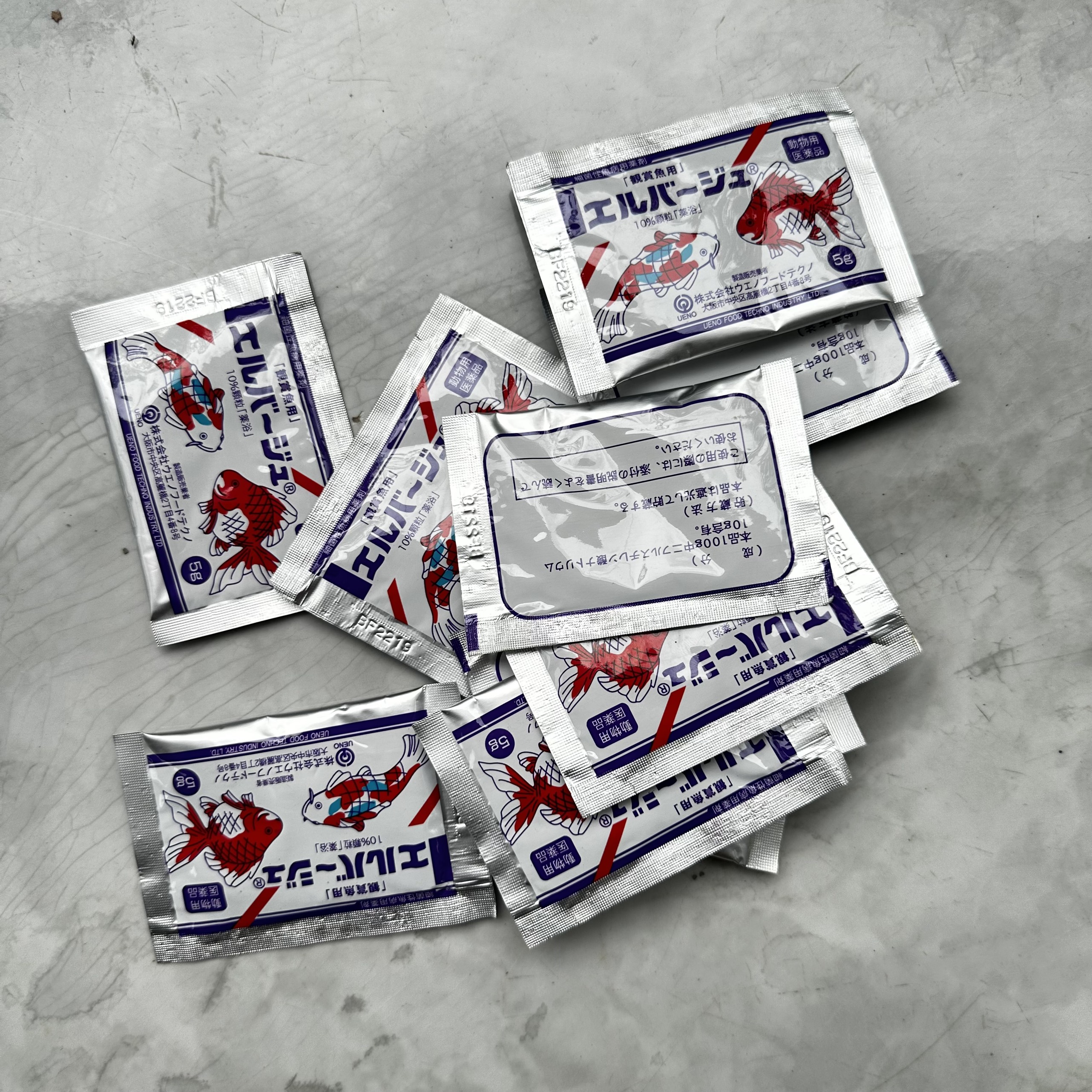Tetra Nhật trị nấm ở cá cảnh