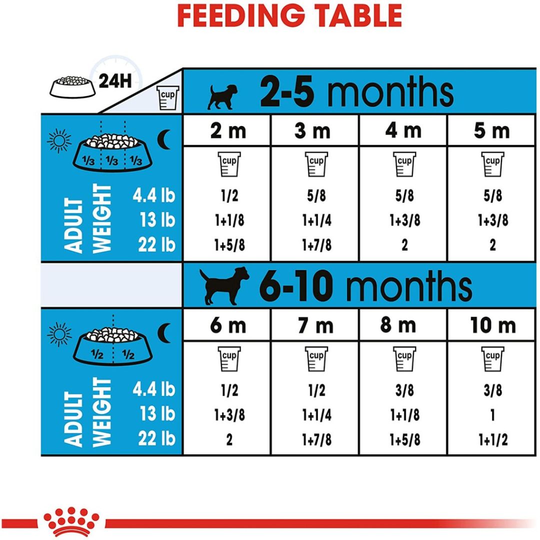 Thức Ăn Chó Royal Canin Mini Puppy