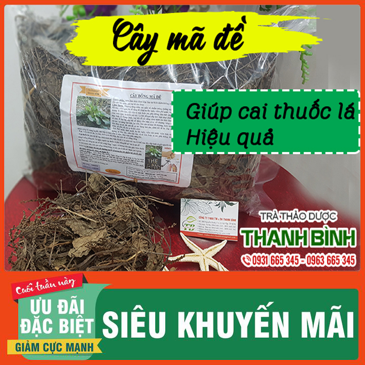 Cây Mã Đề 500G Khô Loại Đặc Biệt - Đông Y Thanh Bình
