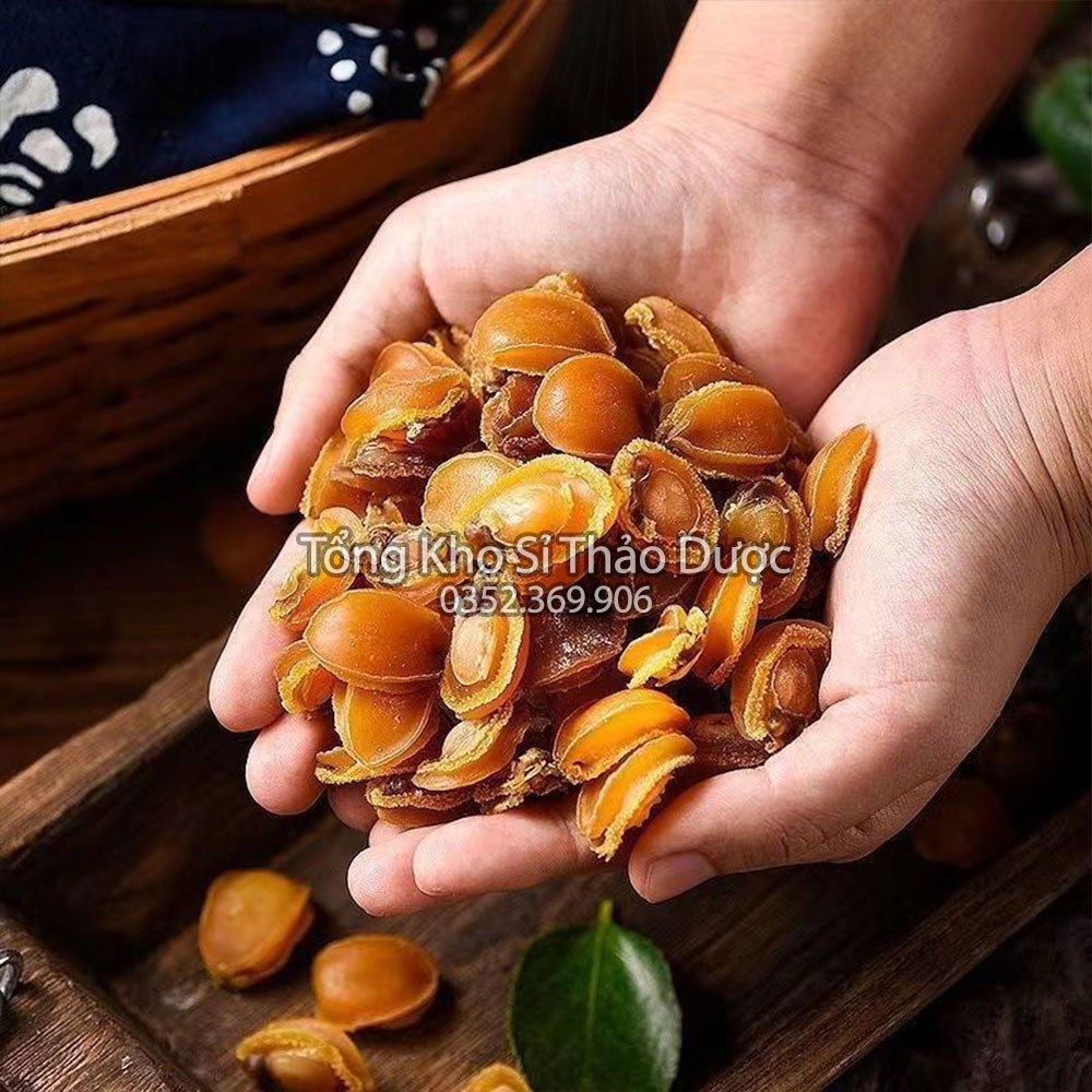 Nhân bào ngư khô Nha Trang 100g (Loại 1, nấu súp, hầm canh bổ dưỡng)