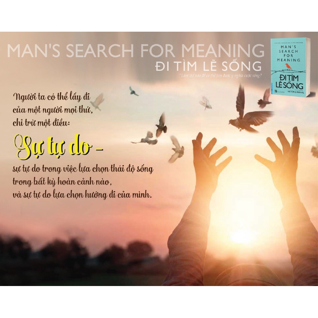 Sách - Đi Tìm Lẽ Sống (Tái Bản) - First News