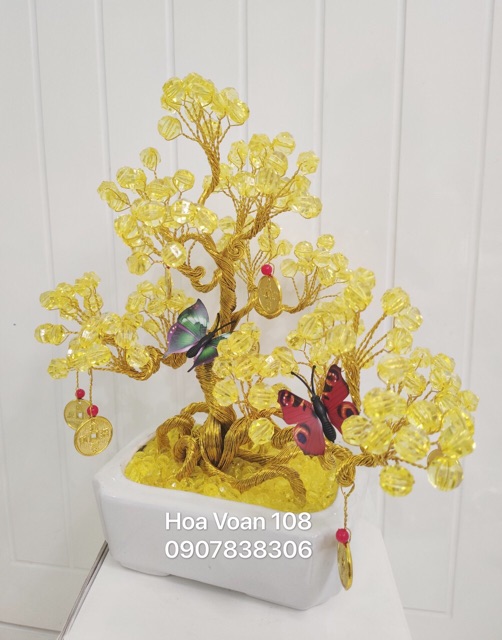 Cây kiểng bằng hột đá cao 30cm