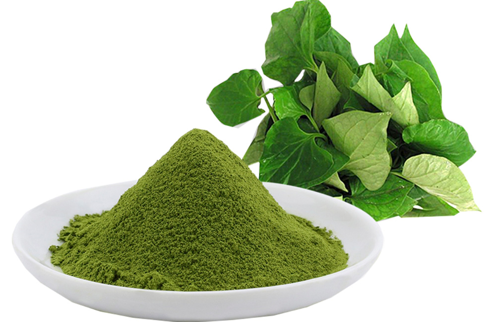 [Hot] Pure Fish Mint Powder 100g - Tan Phat Herbal Medicine