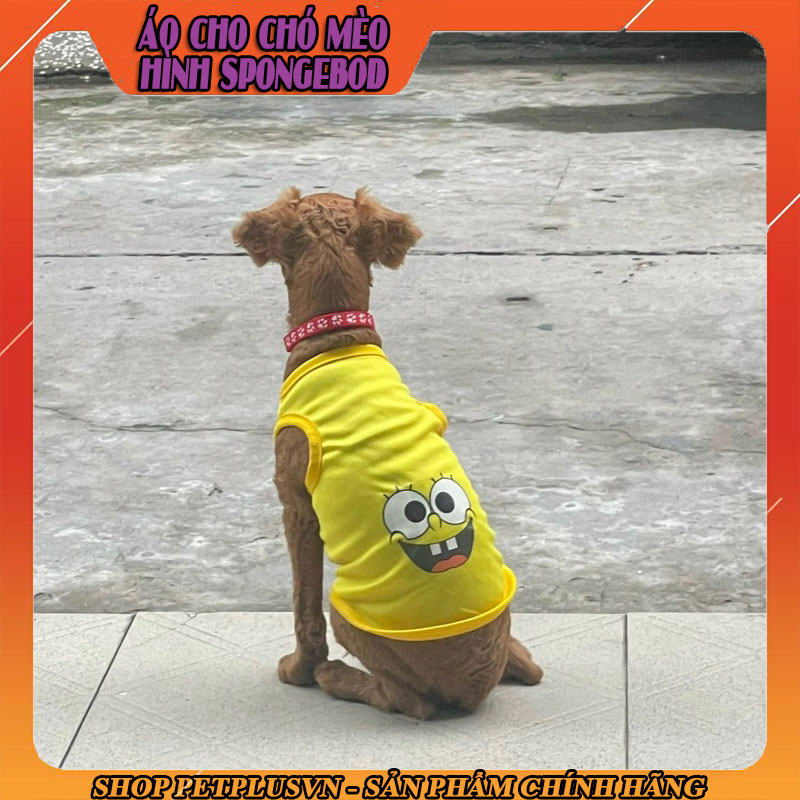 Áo chó mèo hình Spongebod - Cậu bé bọt biển