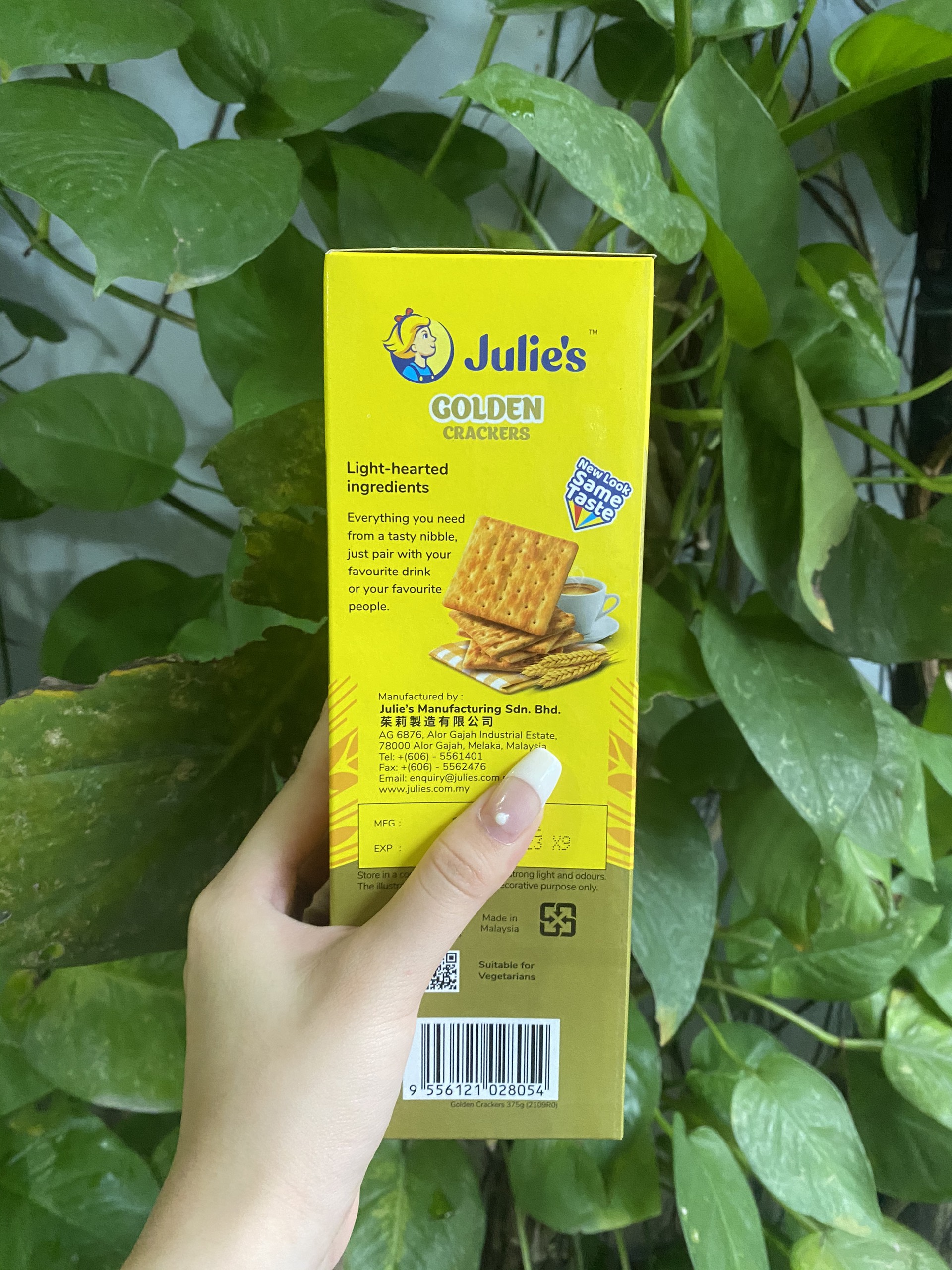 Bánh Quy Giòn Lúa Mì Julie's Golden Crackers (Hộp 375g)