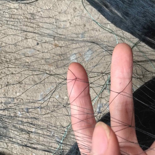 30 mét Lưới bẫy rắn Tàng Hình  mắt 8cm
