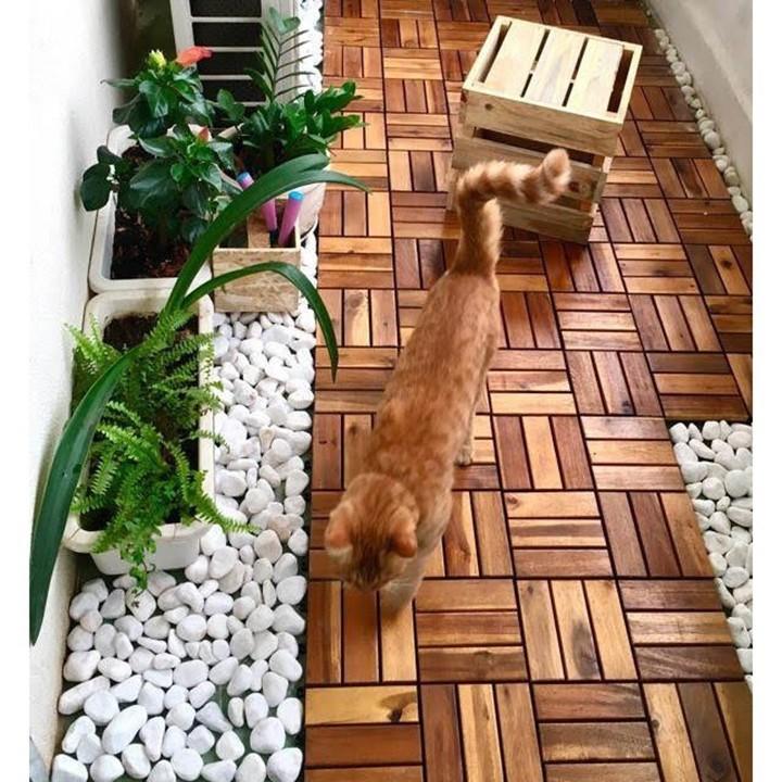 Sỏi trắng trang trí sân vườn kích thước 2x3cm