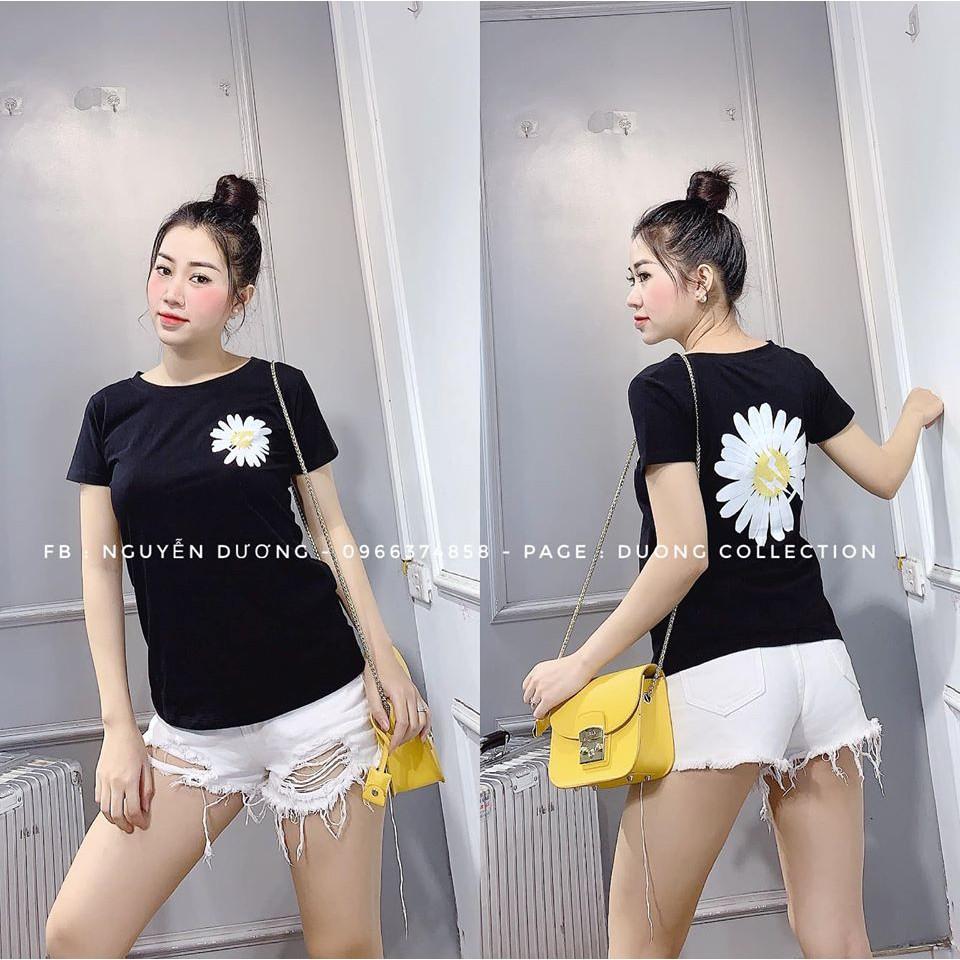 Áo phông hình hoa CÚC HỌA MI