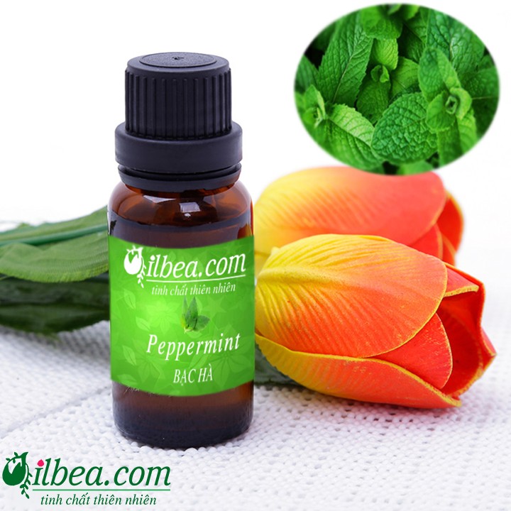 Tinh dầu bạc hà 10ml